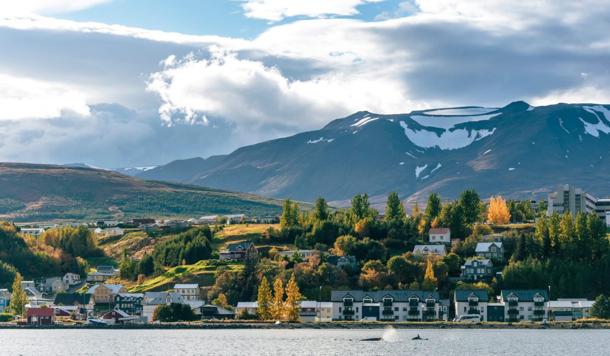 Iceland(1)